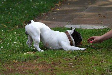 Bild 275 - 2012